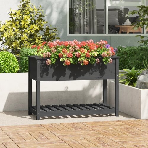 vidaXL Visoka greda s polico siva 111,5x54x81 cm trdna borovina Cene