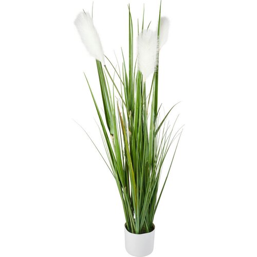Ambia Home OKRASNA TRAVA Cene