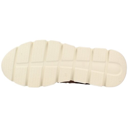 Cetti Modne superge C1259 Xl Inv27 Kostanjeva Cene