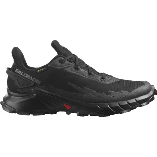 Salomon alphacross 4 gtx 470640