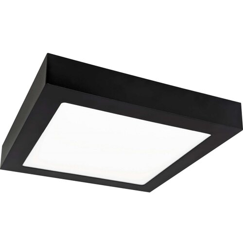 LED plafonsko svetlo FENIX LED/18W/230V 3800K 22,5 cm Slike