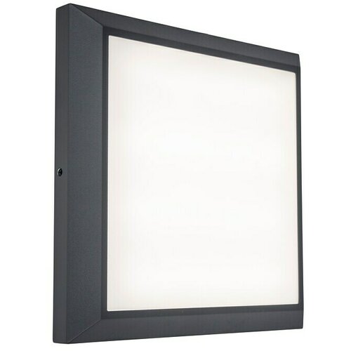 LUTEC Vanjska zidna LED svjetiljka Helena (20 W, 36 x 220 x 220 mm, Tamnosive boje, IP54) Cijene