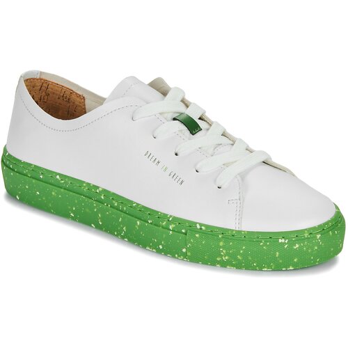 Dream in Green JOBI Bijela Slike