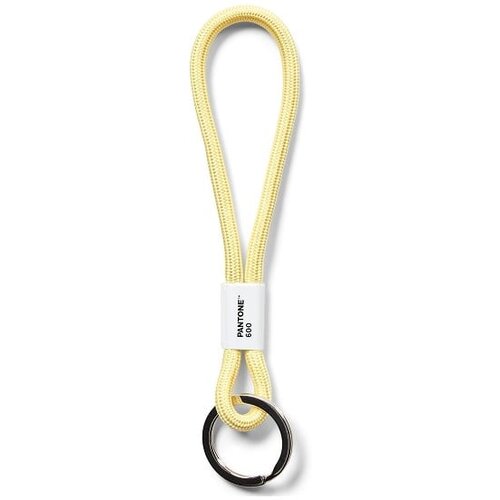 Pantone Svetlo rumen obesek za ključe Light Yellow 600 &amp;ndash; Slike