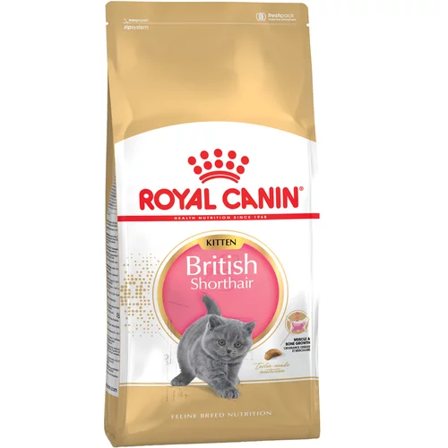 Royal Canin Varčno pakiranje 2 x Breed - British Shorthair Kitten (2 x 10 kg)