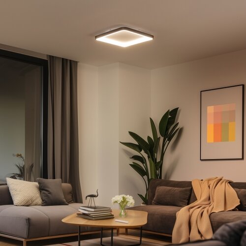  Brilagi - LED prigu&amp;scaron;iva plafonsko svetlo FALCON SLIM LED/50W/230V 50x50 cm crna+daljinski upravljač Slike