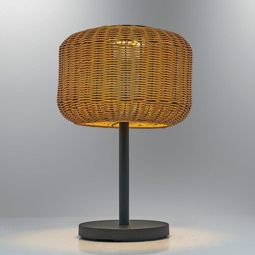 Opviq 4457-S01 blackoak table lamp Cene