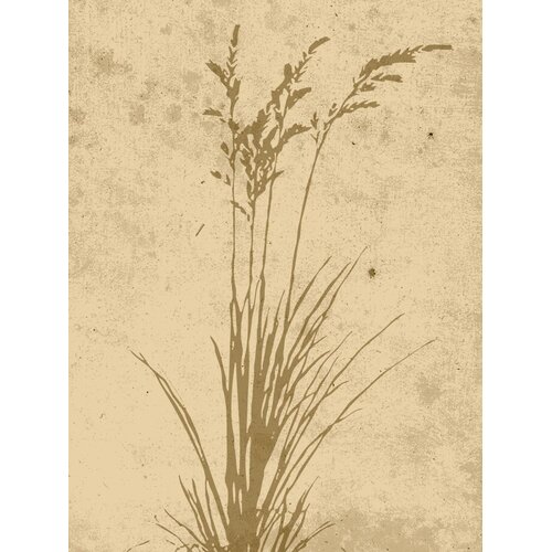 Venture Home poster Plant Art 30 &amp;times; 40 cm, bež Slike