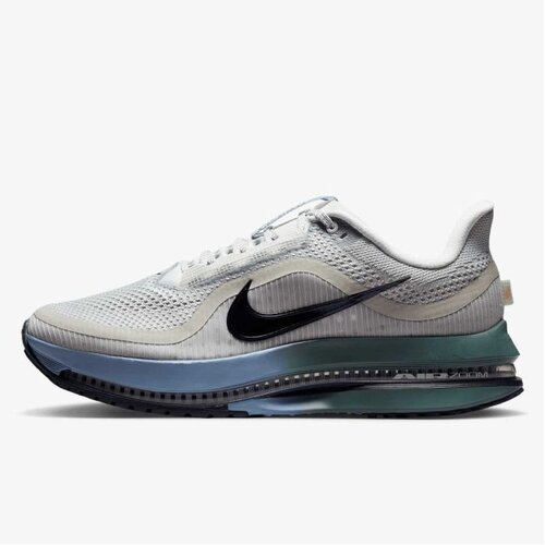 Nike pegasus premium Cene