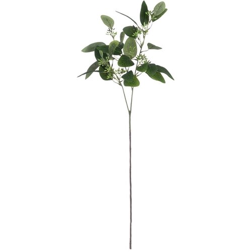 Ixia Umetni evkaliptus (višina 59 cm) – Cene