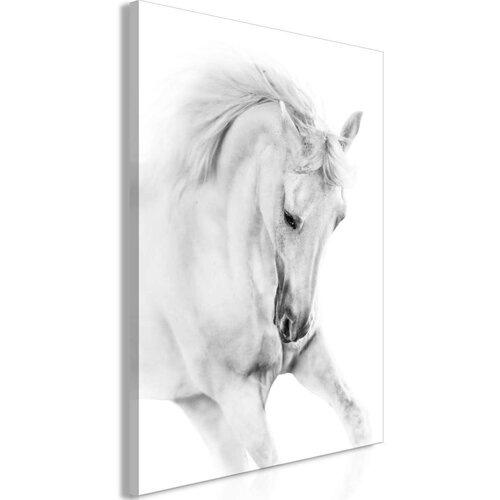  Slika - White Horse (1 Part) Vertical 80x120 Cijene