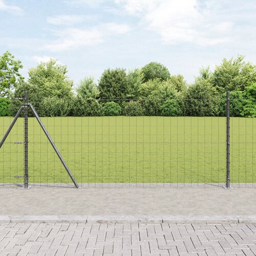 vidaXL evropska ograja z 13 podaljšanimi stebri 1x25 m cinkano jeklo Cene