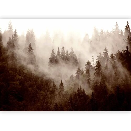  Foto tapeta - Mountain Forest (Sepia) 400x280 Premium Cene