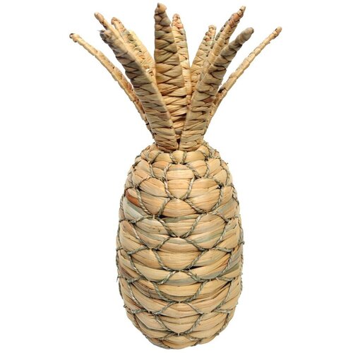 Signes Grimalt Kipci in figurice Ananas L Bež Cene