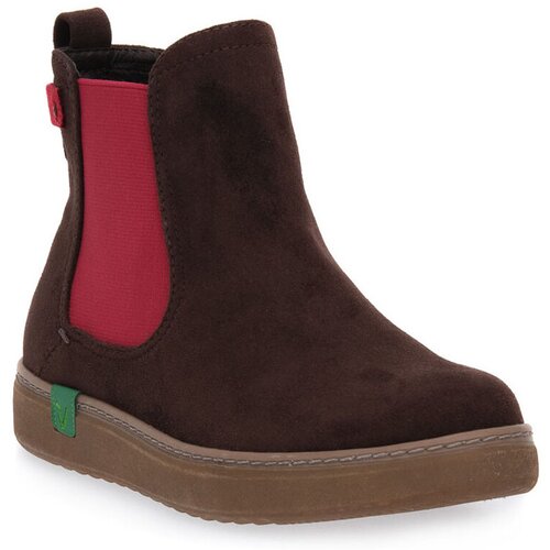 Jana &amp;Scaron;kornji 359 MOCCA Kostanjeva Slike