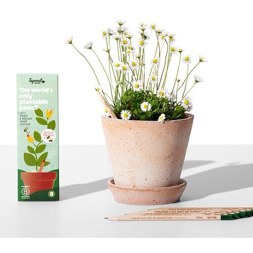 Olovke sa sjemenkama Sprout Ljubav koja raste (8 komada) Cijene
