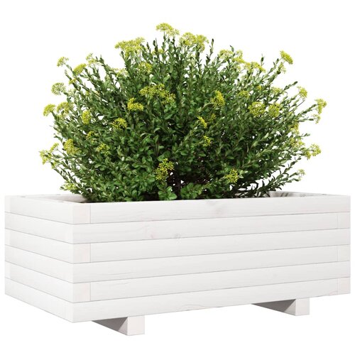  Vrtna sadilica bijela 70 x 40 x 26,5 cm od masivne borovine Slike
