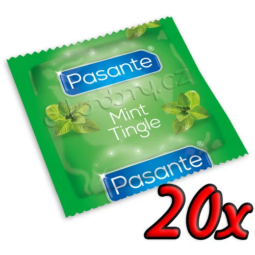 Pasante Mint Tingle 20 pack
