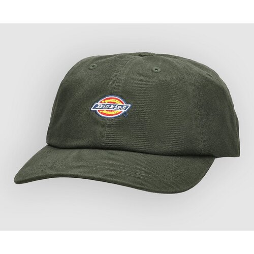 Dickies deep depths Slike