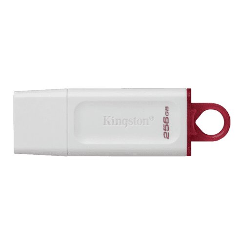 Kingston USB Flash memorija 256GB Exodia (Bela) KC-U2G256-5R Cene