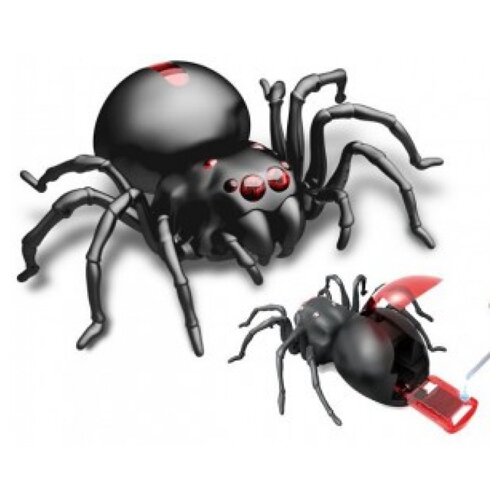 Olimp Sport Igračka Spider Kit Cene