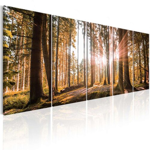  Slika - Beauty of Nature 200x80 Cijene