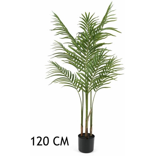 Lilium dekorativna palma areka 120cm 567276 Cene