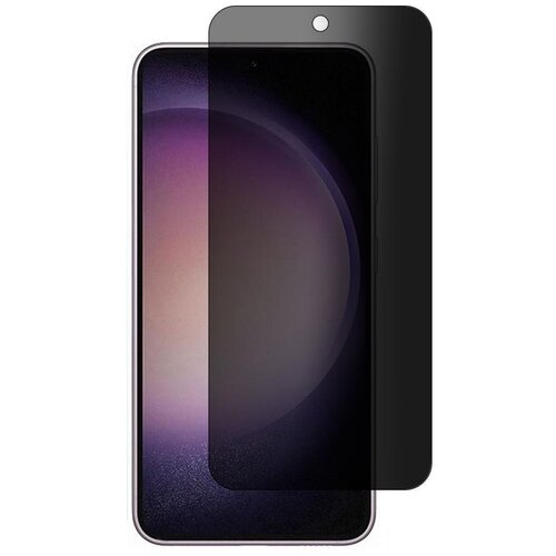 Privacy 30 DEGREE S24 STAKLO SAMSUNG Cene