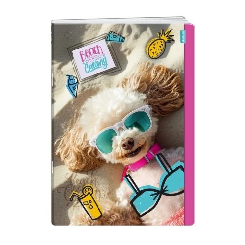  Premium sveska 60 lista fuzzy pets - odaberite motiv a4 blanko kuca ( B2C05458 ) Cene