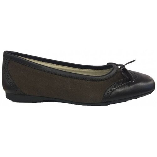 Hamiltoms Balerinke 20681-20 Kostanjeva Cene