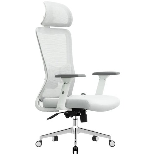 UGD Ergonomska kancelarijska stolica Silver Polare Cene