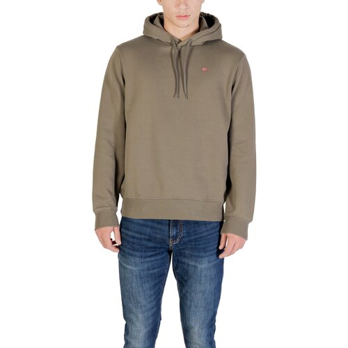 Napapijri Puloverji BALIS HOOD NP0A4FQVG Zelena Slike