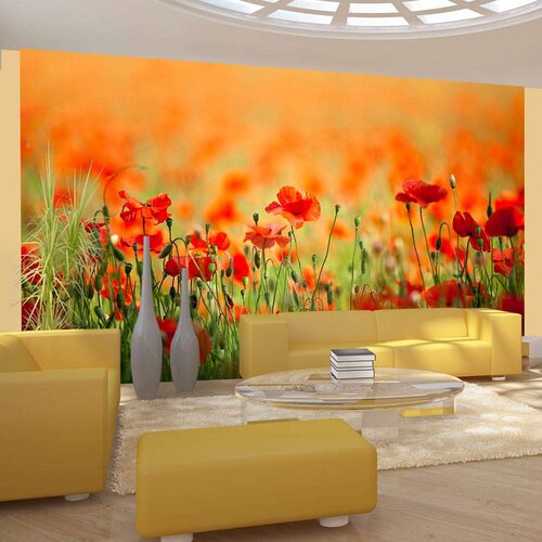  Tapeta - Poppies in shiny summer day 450x270 Slike