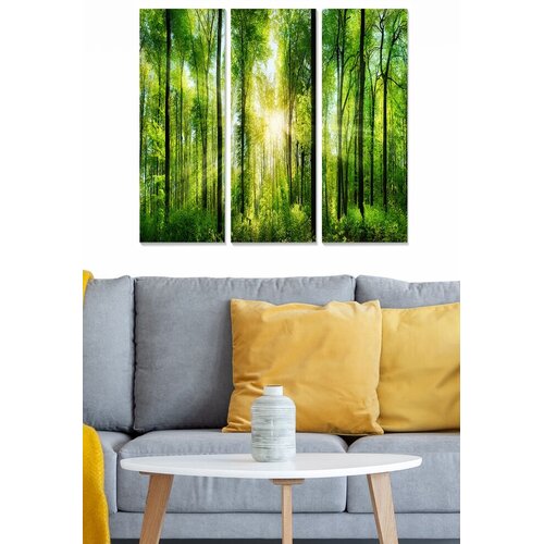 Wallity Set slika MDF276530603, 3 dijela Cene