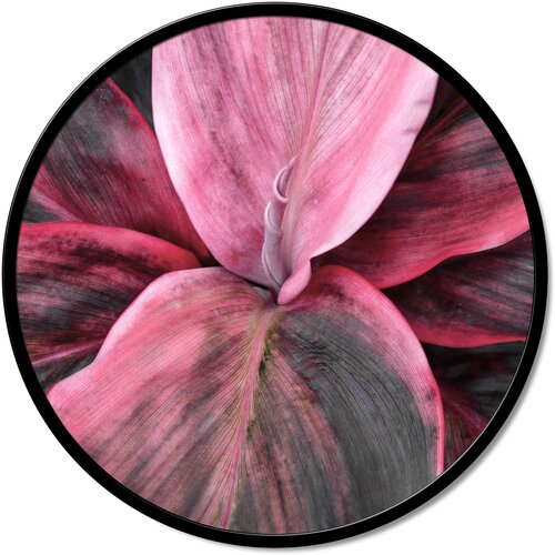 Pintdecor Zidni ukras Dettaglio Floreale Cijene