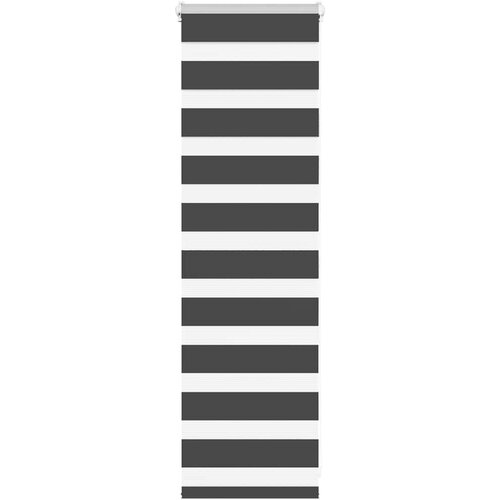 vidaXL Zebra senčilo črna 50x100 cm tkanina širina 45,9 cm poliester Cene
