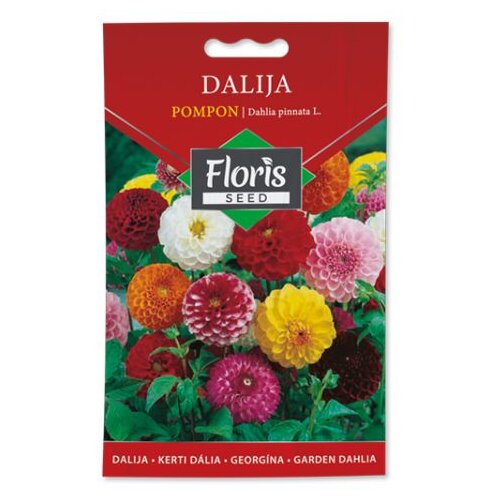 Floris seme cveće-dalija pompon 05g FL Slike