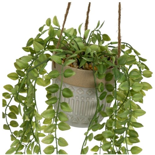 Casa Selecci&amp;oacute;n Umetna rastlina (vi&amp;scaron;ina 34 cm) &amp;ndash; Slike