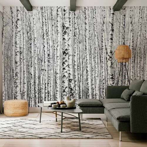  Foto tapeta - Birch forest 250x175 Premium Cene