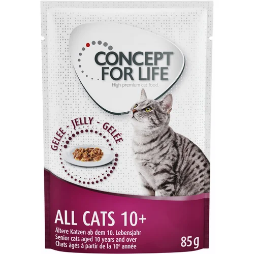 Concept for Life All Cats 10+ - izboljšana receptura! - Kot dopolnilo: 12 x 85 g All Cats 10+ v želeju