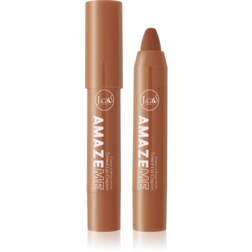 J.Cat Beauty Amaze Me kremasti svinčnik za ustnice odtenek 109 Dear Universe 4 g Cene