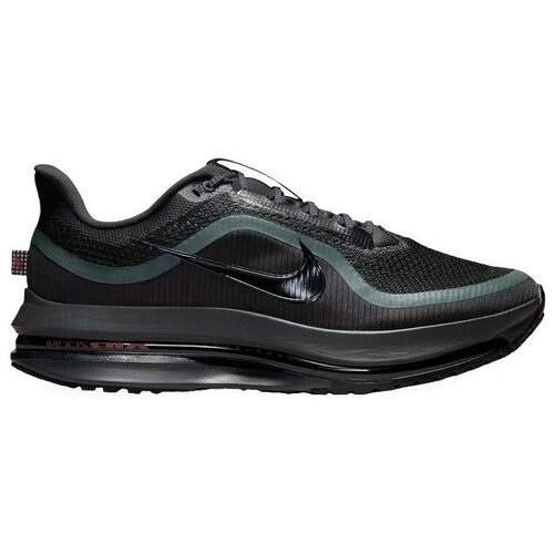 Nike Nizke superge Pegasus Premium Črna Slike