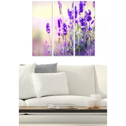 Wallity Set slika MDF2459272, 3 dijela Cene