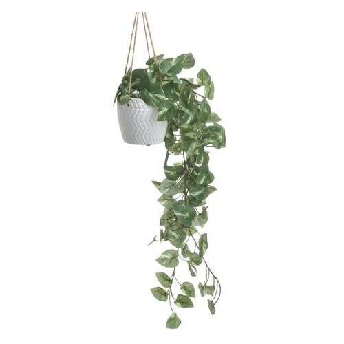  VISEĆA BILJKA U SAKSIJI &amp;Phi;11&amp;Chi;40/80CM Slike