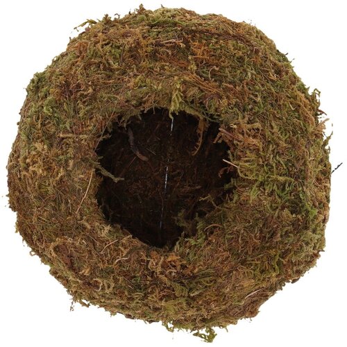 Esschert Design Kokedama krogla - M Slike