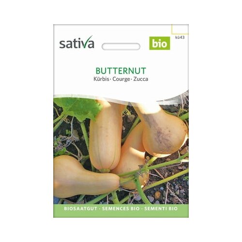 Sativa Buča Butternut Cene