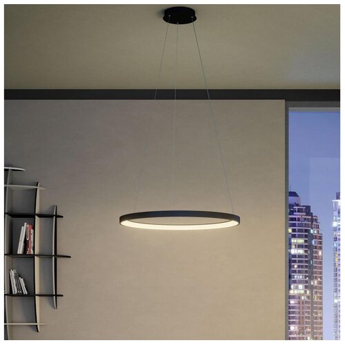  Redo 01-2674- LED prigušiva luster na sajli ICONIC LED/50W/230V pr. 58 cm crna Cene