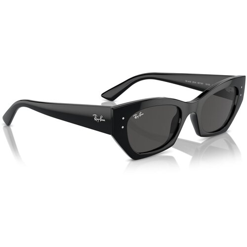Ray-ban Sončna očala 0RB4430 667787 Črna Cene