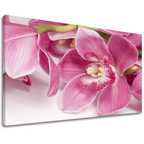  Slike na platnu cveće  (moderne slike na platnu) Cene