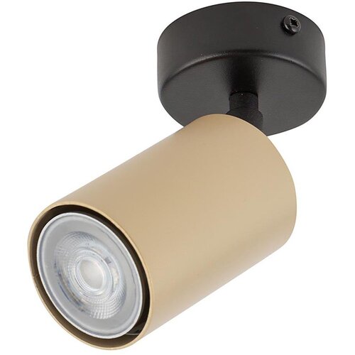 SPOT svetlo ZOOM 1xGU10/25W/230V crna/zlatna Cene
